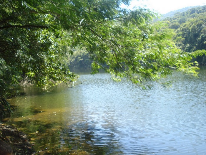 Principais Trilhas Do Parque Estadual Da Pedra Branca Rj Trilhas E