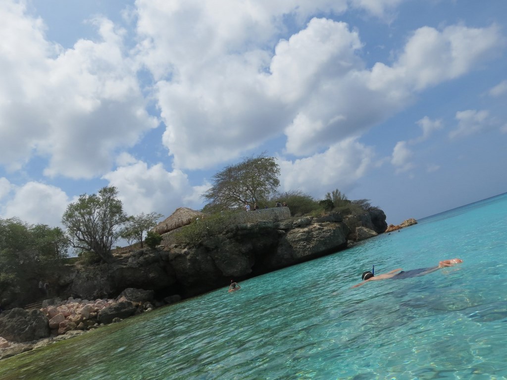 Tripadvisor  Nadar com tartarugas marinhas e praia de Grote Knip